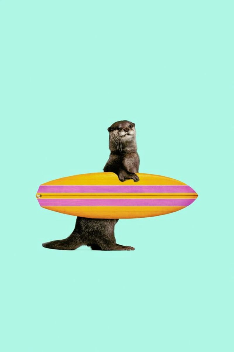 Surfing Otter poster da Jonas Loose