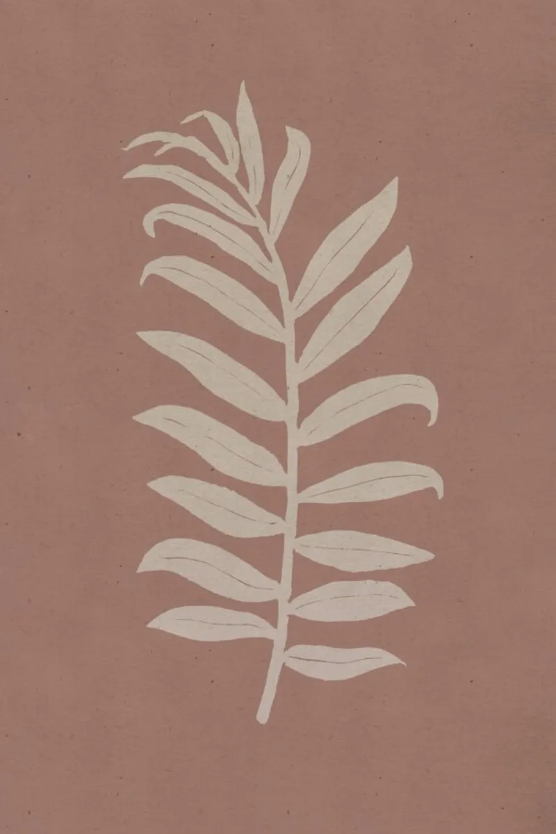 Areca Palmata Brickpink pellicola backlit da Elena Veronese