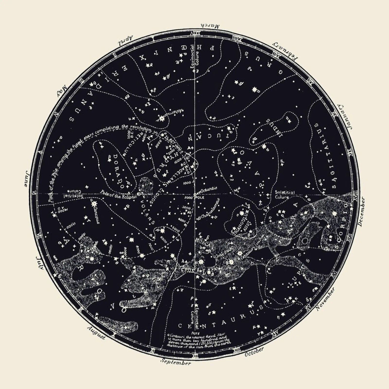Southern Constellations Poster von Astër
