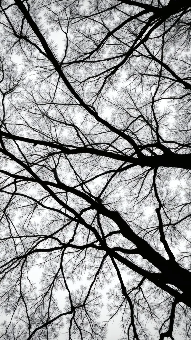 I rami senza vita si stagliano contro un cielo nuvoloso alluminio dibond da DesignDoodle