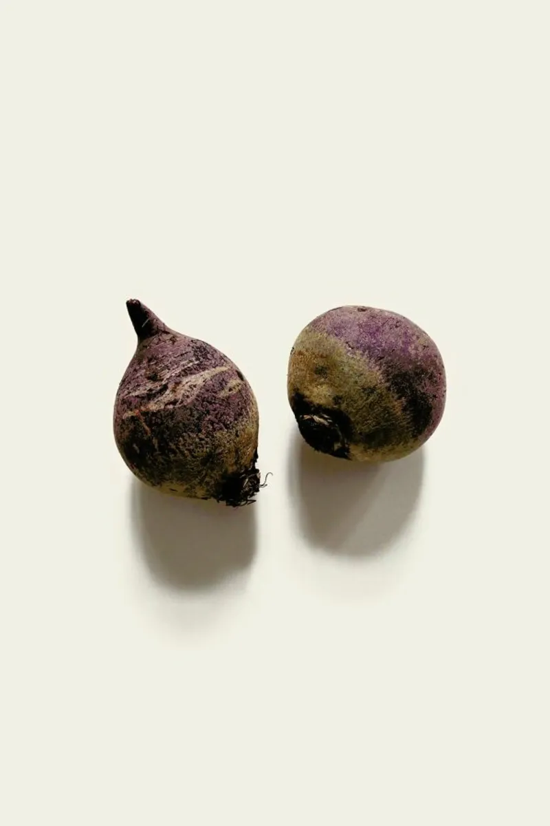 Beetroots carta hahnemühle da Elena Veronese