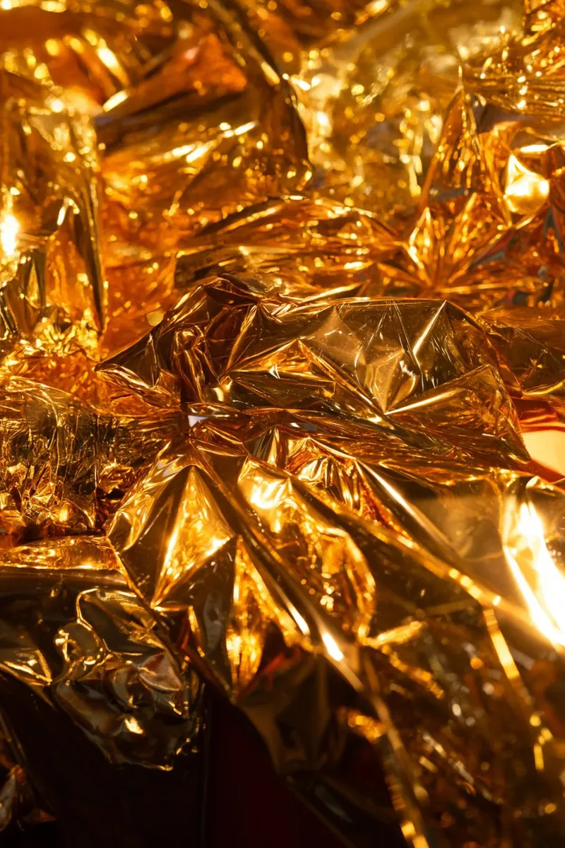 Goldie plexiglass da Flo Klein