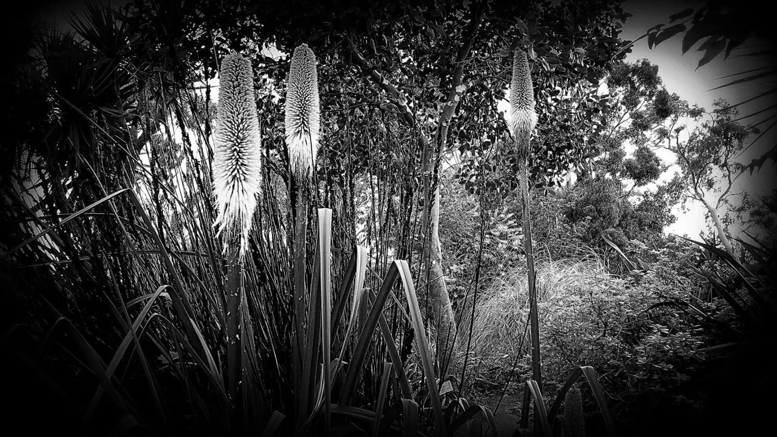 BW24 tela con Cornice a cassetta da Thierry vobmann photography
