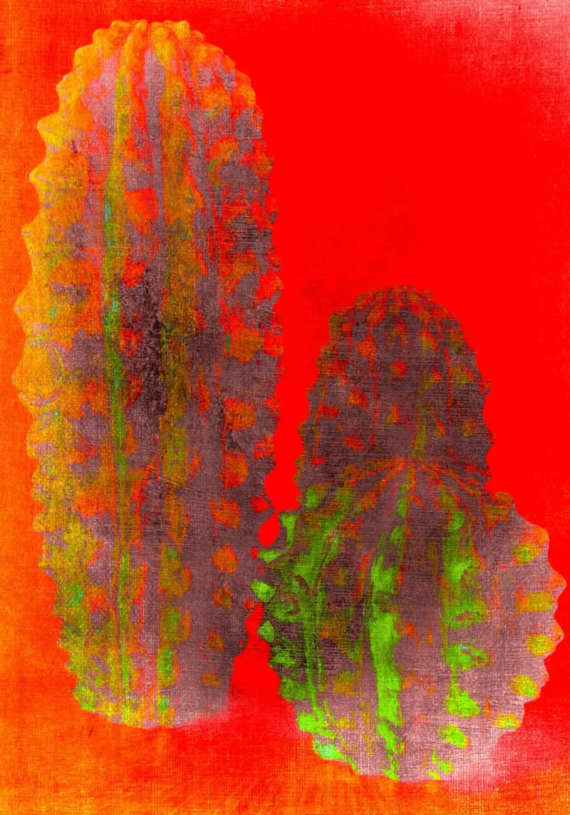Tre cactus poster con telaio in plastica da Teresa André