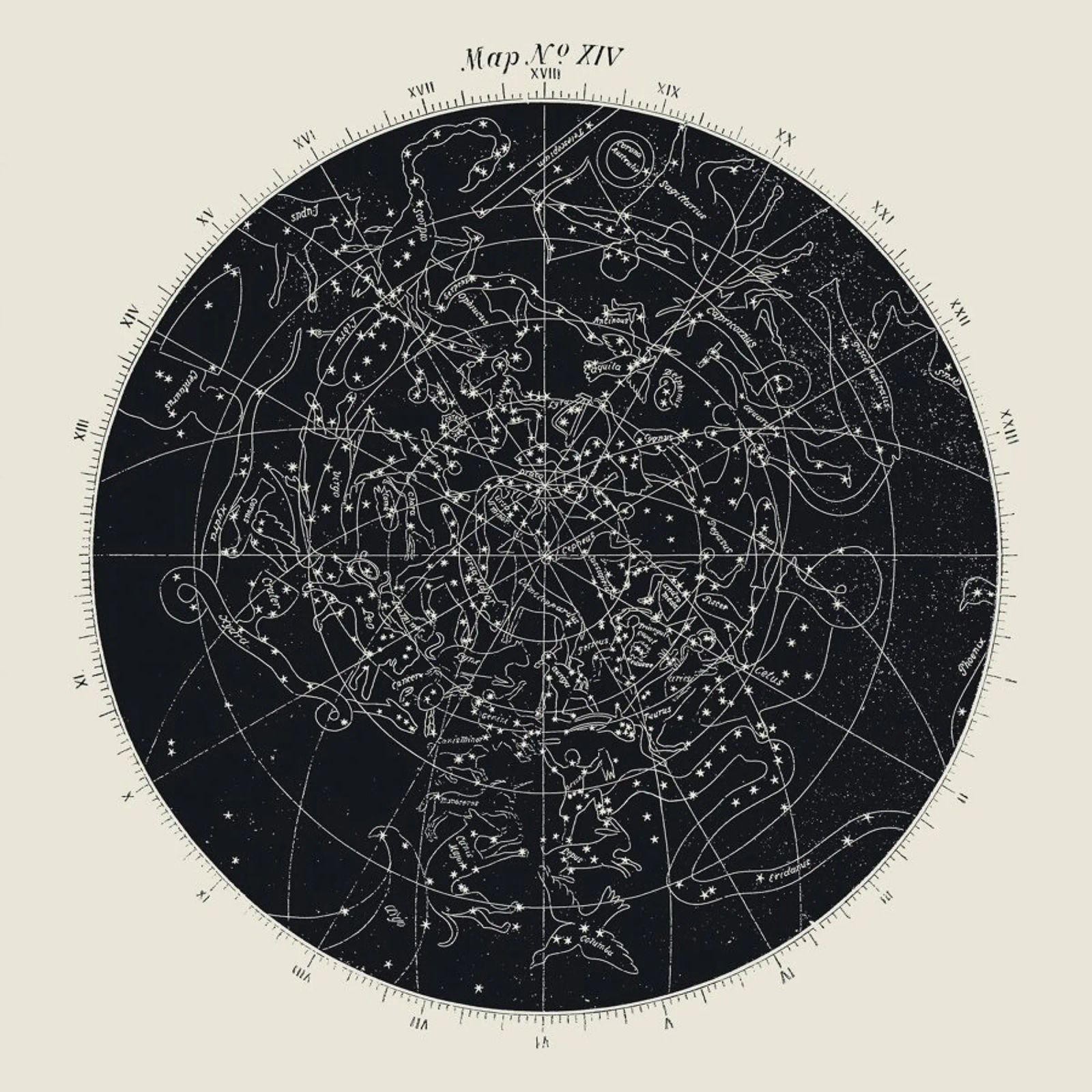 Map n°XIV plexiglass da Astër