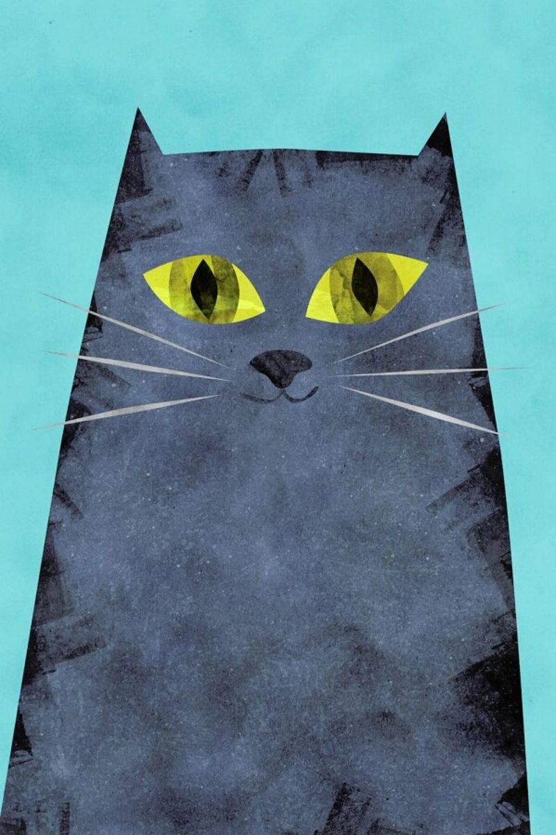 Tabby poster by Tracie Andrews