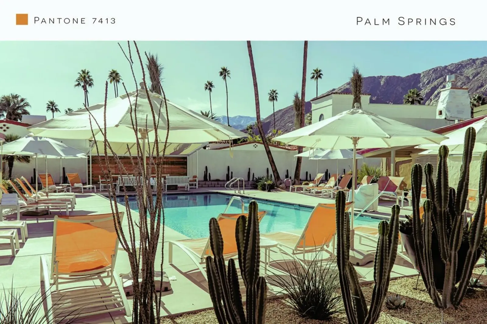 Palm Springs 7413 pellicola backlit da In Full Color