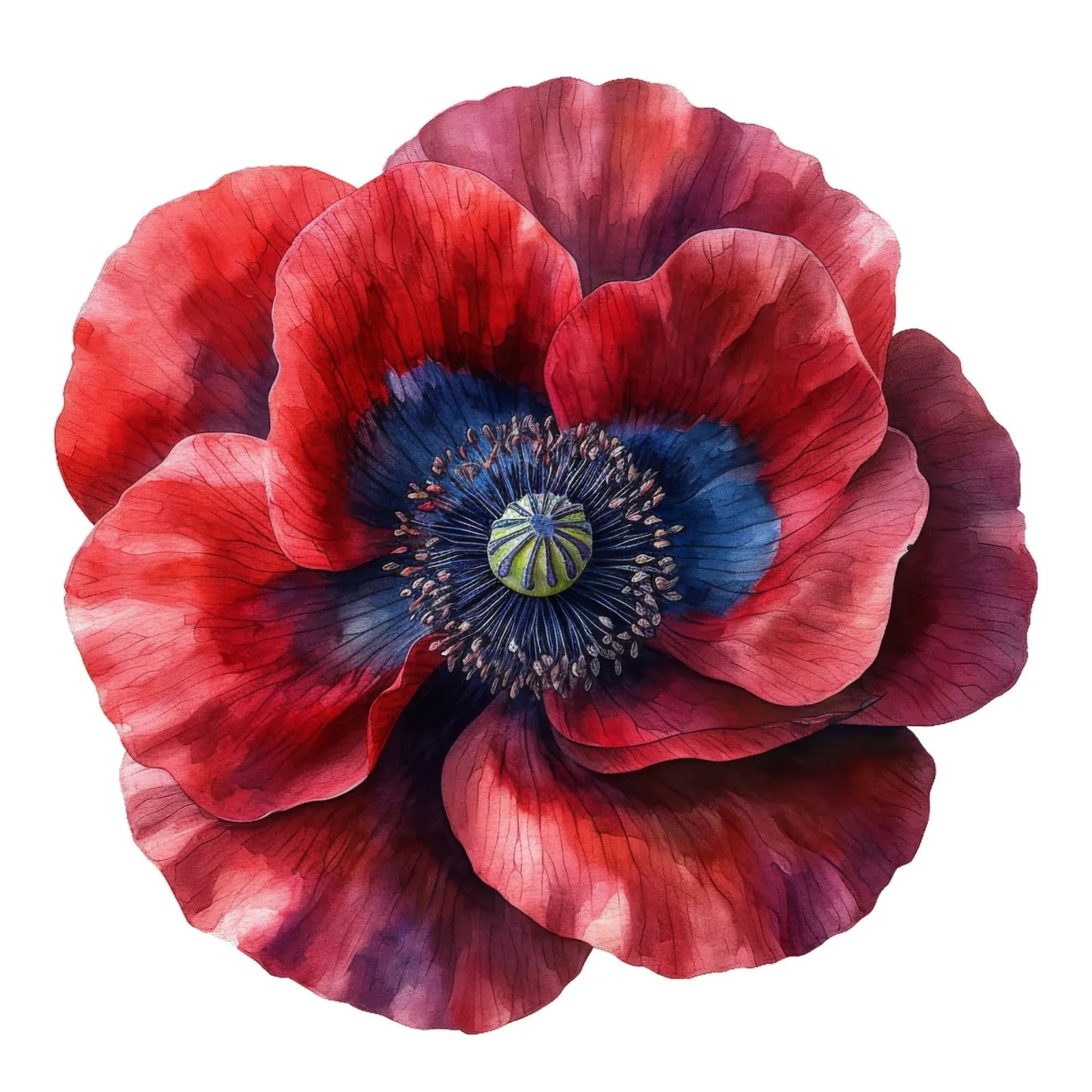 Poppy Flower hahnemühle by Bold Blooms