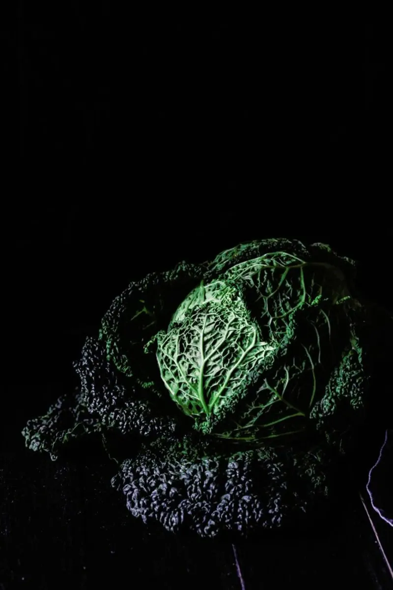 Wirsing im Dunklen pellicola backlit da Eat this