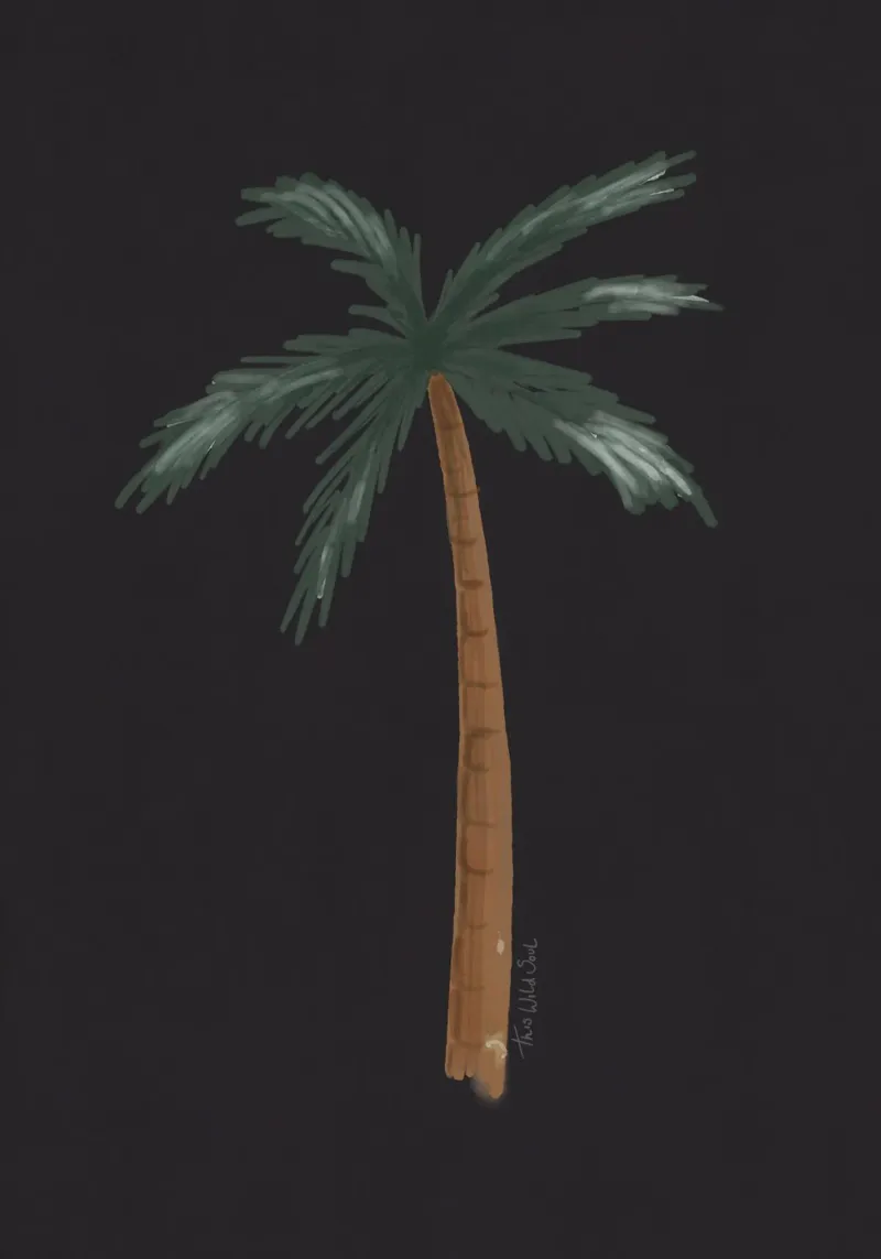Palma boho costiera minimalista nera tropicale acquerello pellicola backlit da This Wild Soul - Illustration