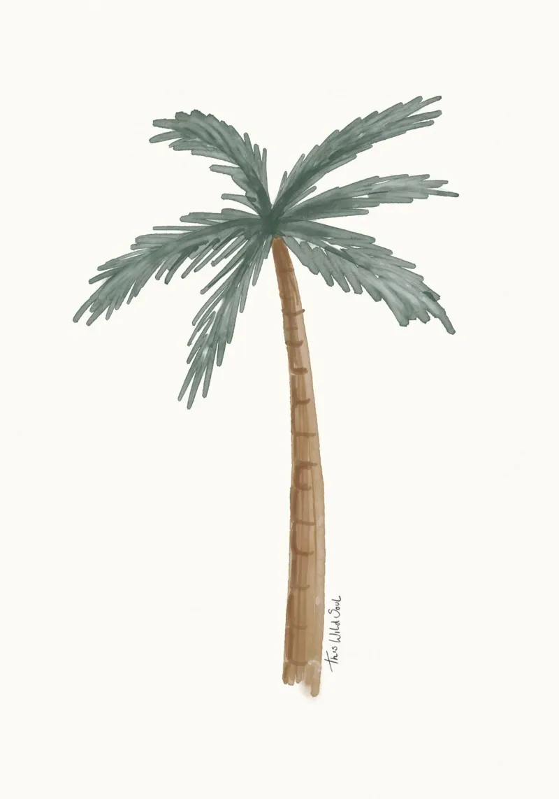 Illustrazione acquerello minimalista di palma boho costiera poster con telaio in plastica da This Wild Soul - Illustration