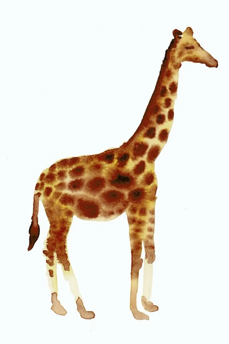 Giraffe Acryl-Glas von Farina Kuklinski