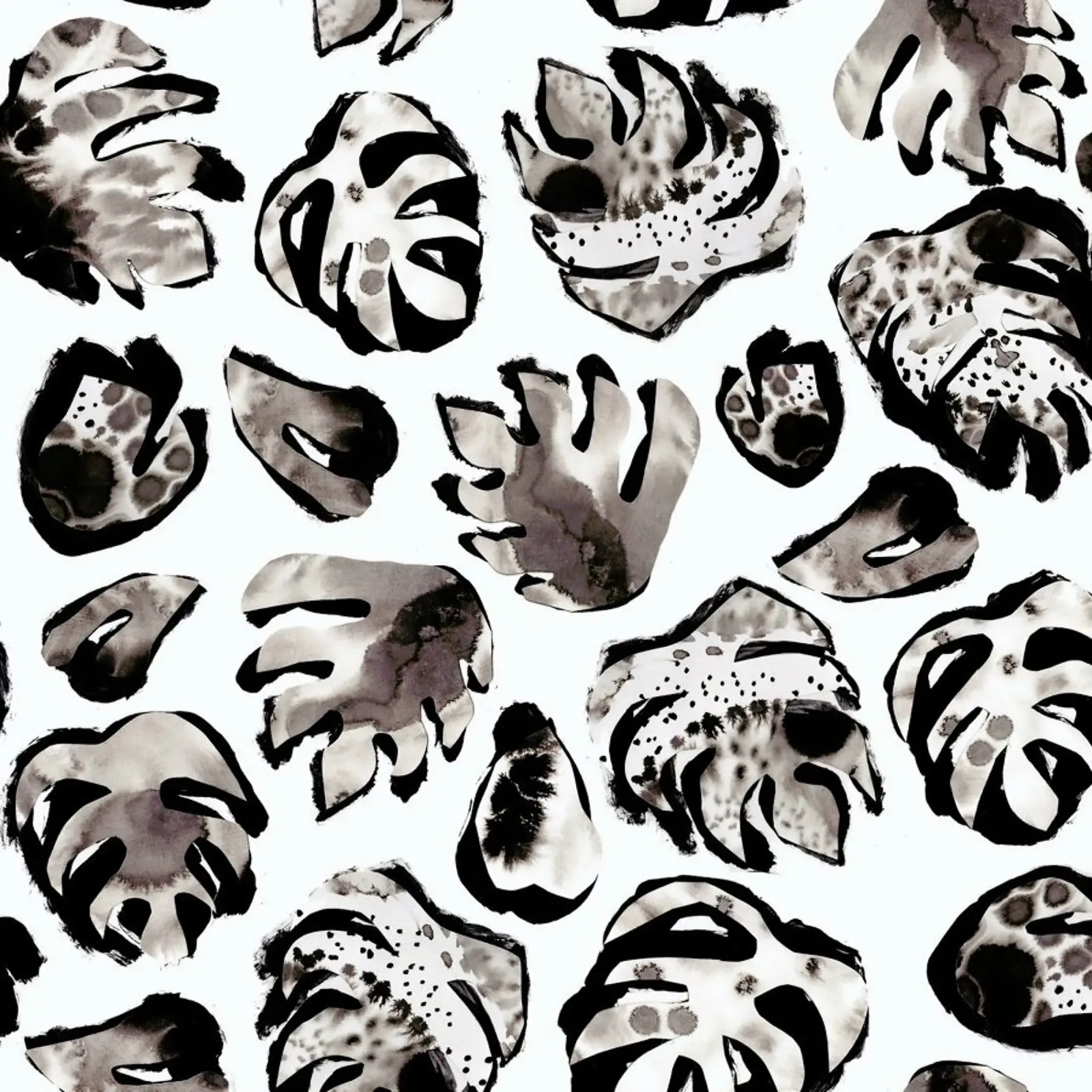 Monstera Ink pellicola backlit da Farina Kuklinski