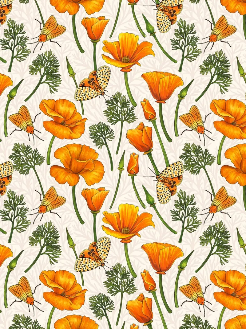 Kalifornische Mohnblumen und Motten auf weißem Untergrund Poster mit Aluminium Rahmen von Painted Nature