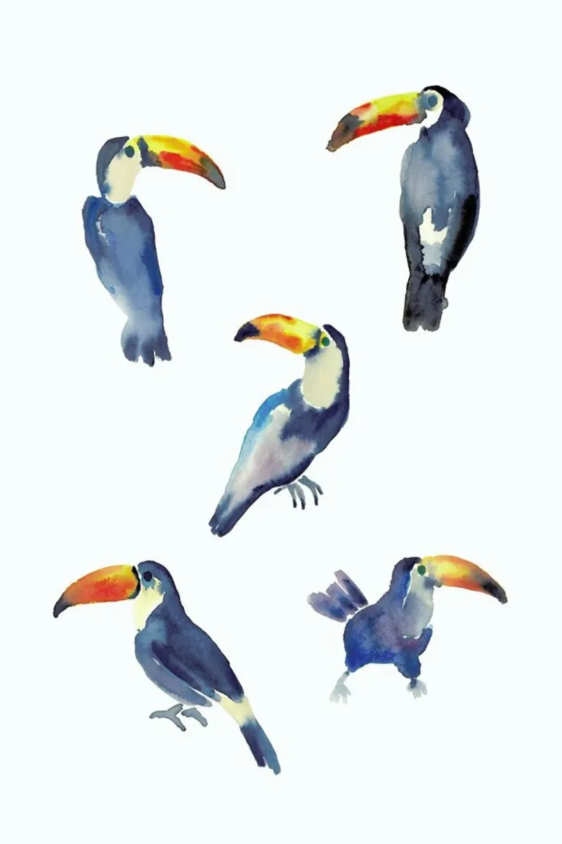 Toucan carta hahnemühle da Farina Kuklinski