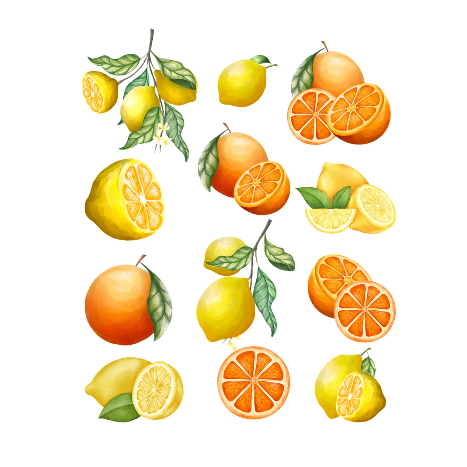 Citrus Vibes Lemon and Oranges Hahnemühle von lovely lines