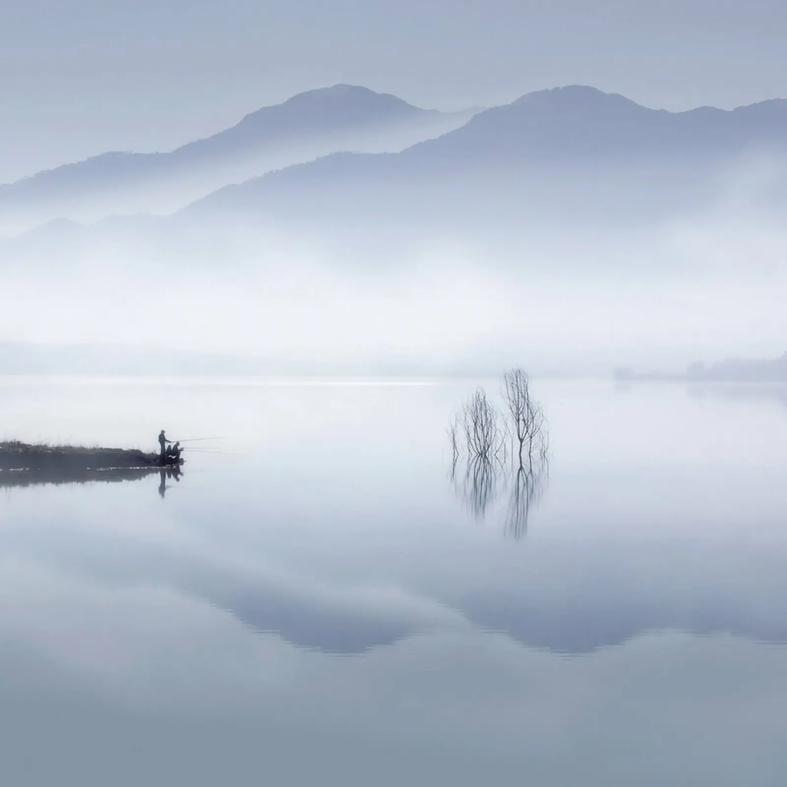 Blue silence - Jose Beut alluminio dibond da Pictufy