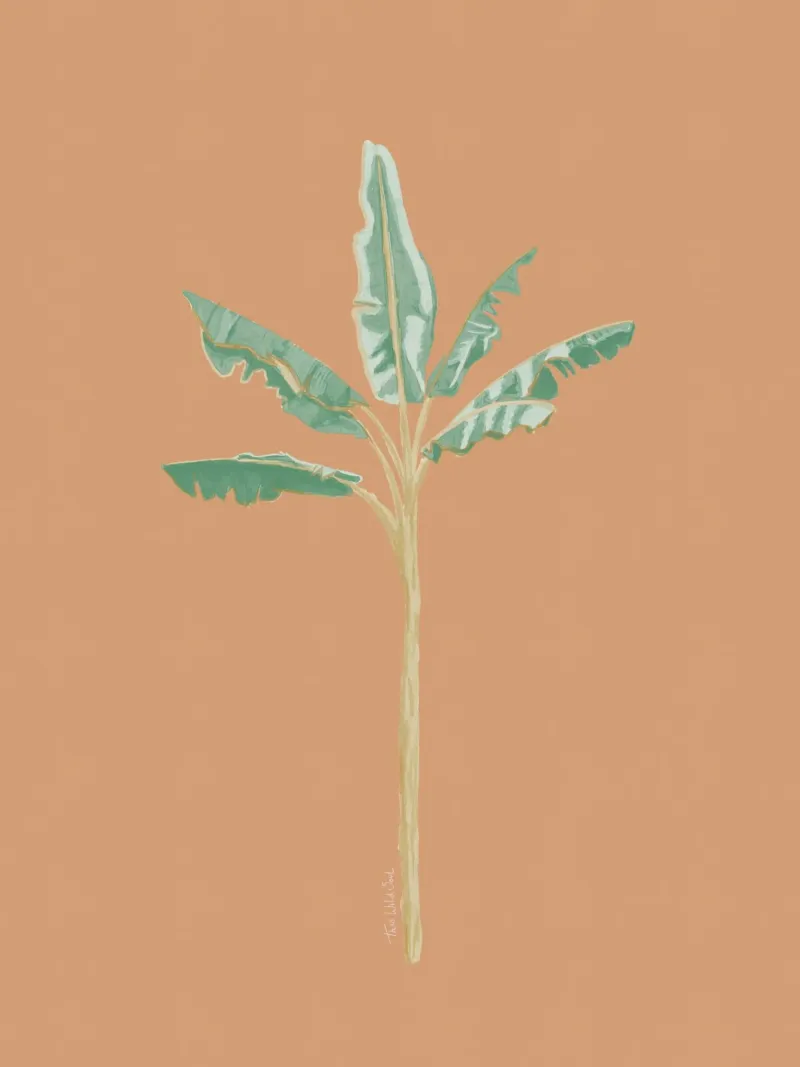 Banana Tree Illustration with Peach Background canvas by This Wild Soul - Illustration
