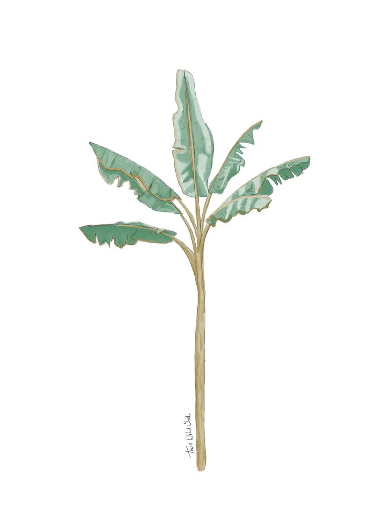 Albero di banane illustrazione vintage boho pellicola backlit da This Wild Soul - Illustration
