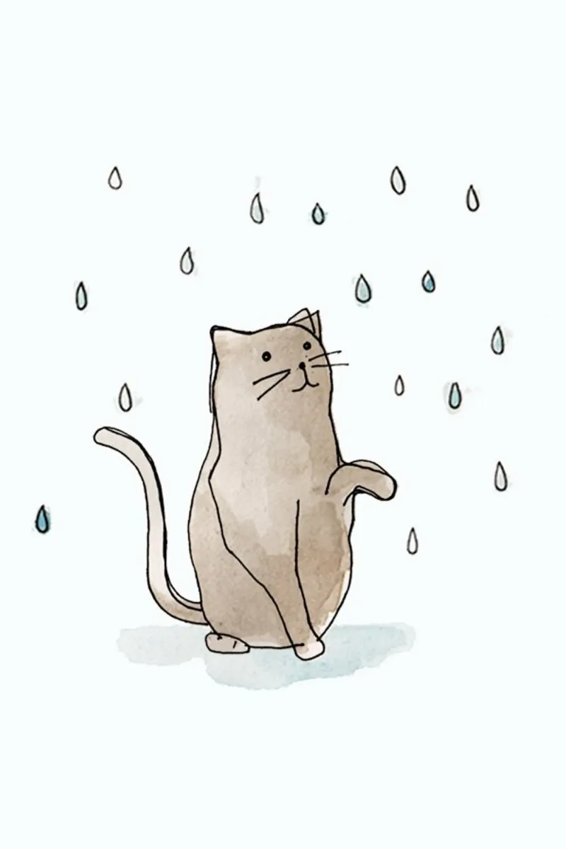 Cat in the Rain pellicola backlit da Farina Kuklinski