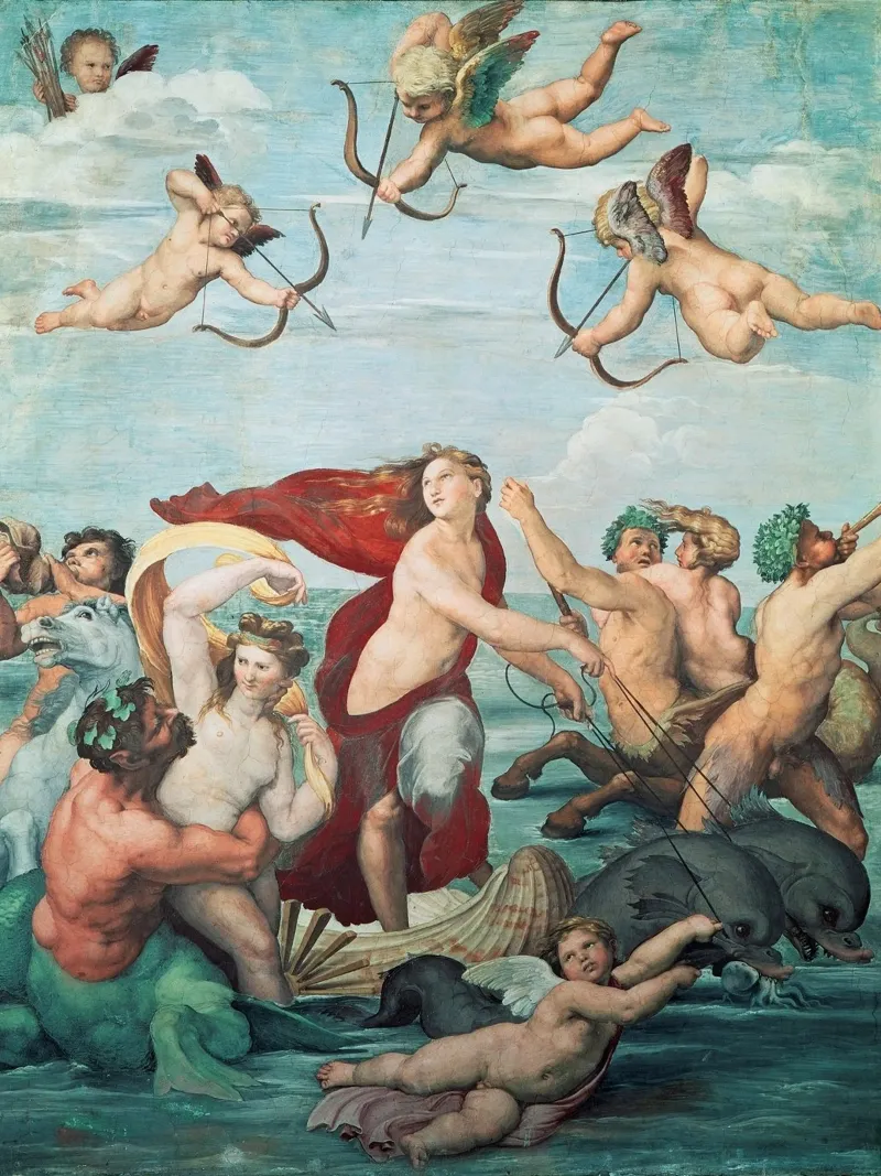 Raffaello - Galatea pellicola backlit da Timeless Artworks