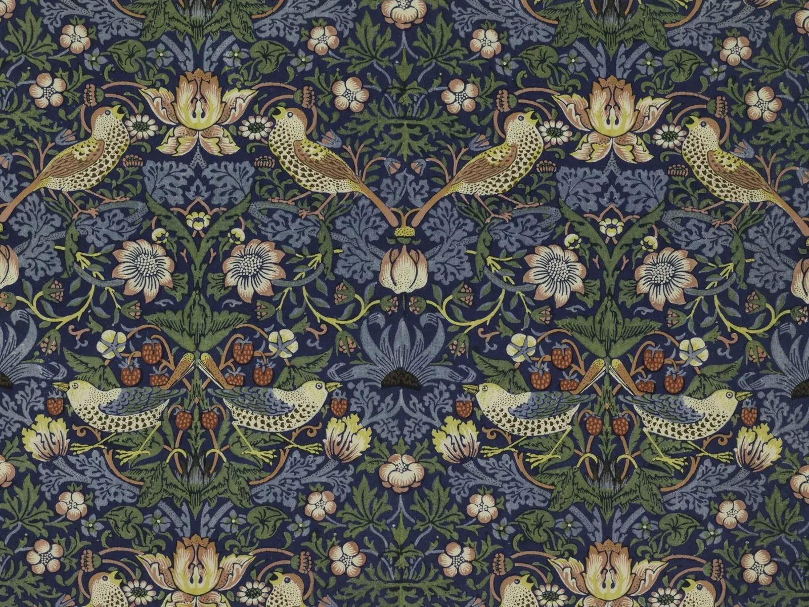 William Morris - Ladro di fragole pellicola backlit da William Store