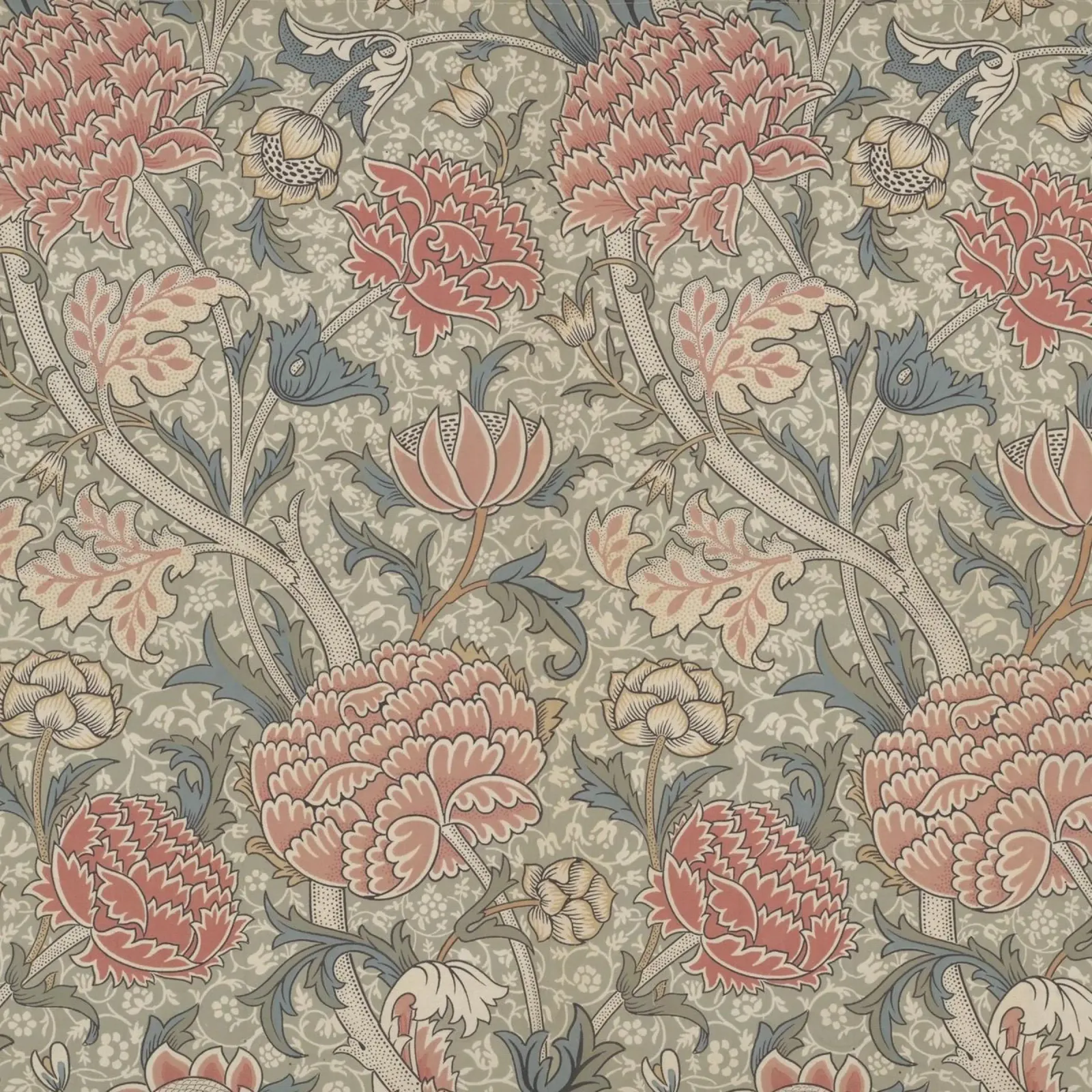 William Morris - Cray pellicola backlit da William Store