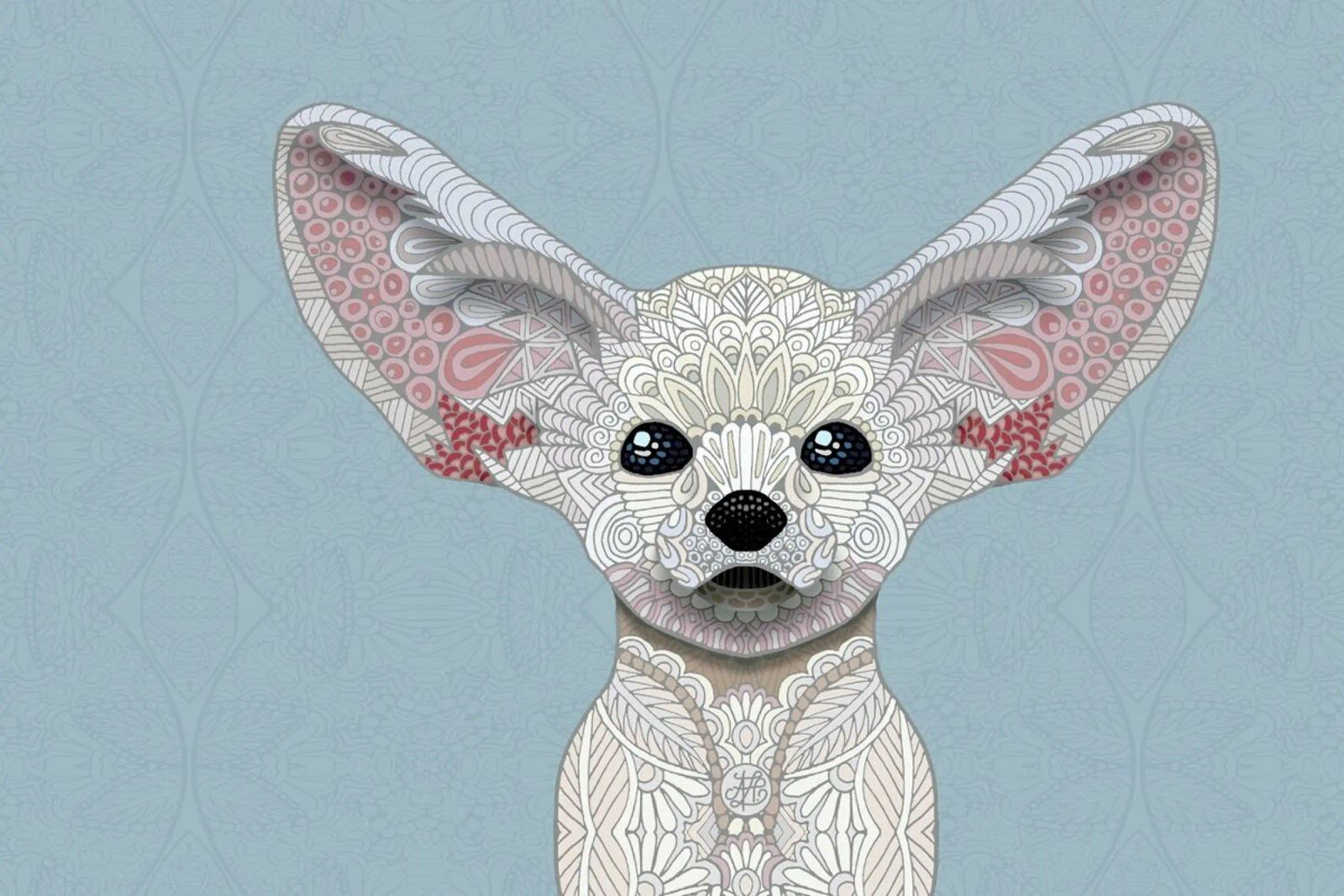 Fennec Fox pellicola backlit da Angelika Parker