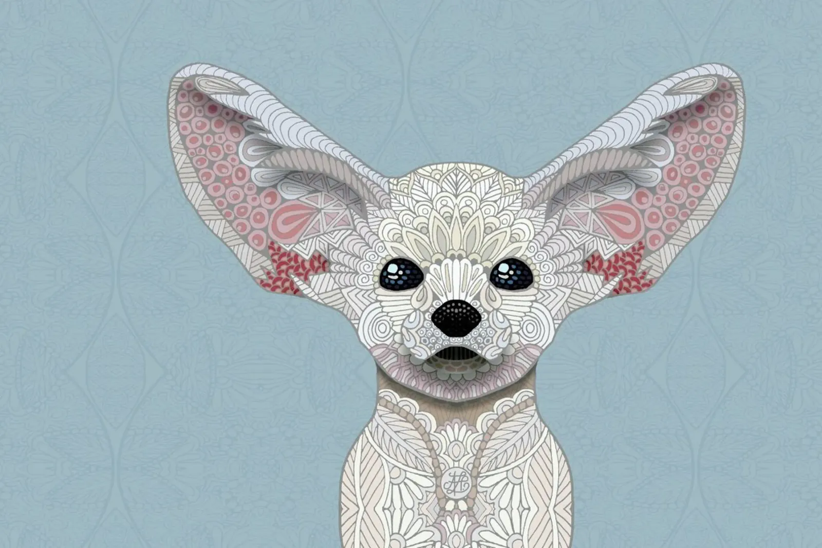 Fennec Fox pellicola backlit da Angelika Parker