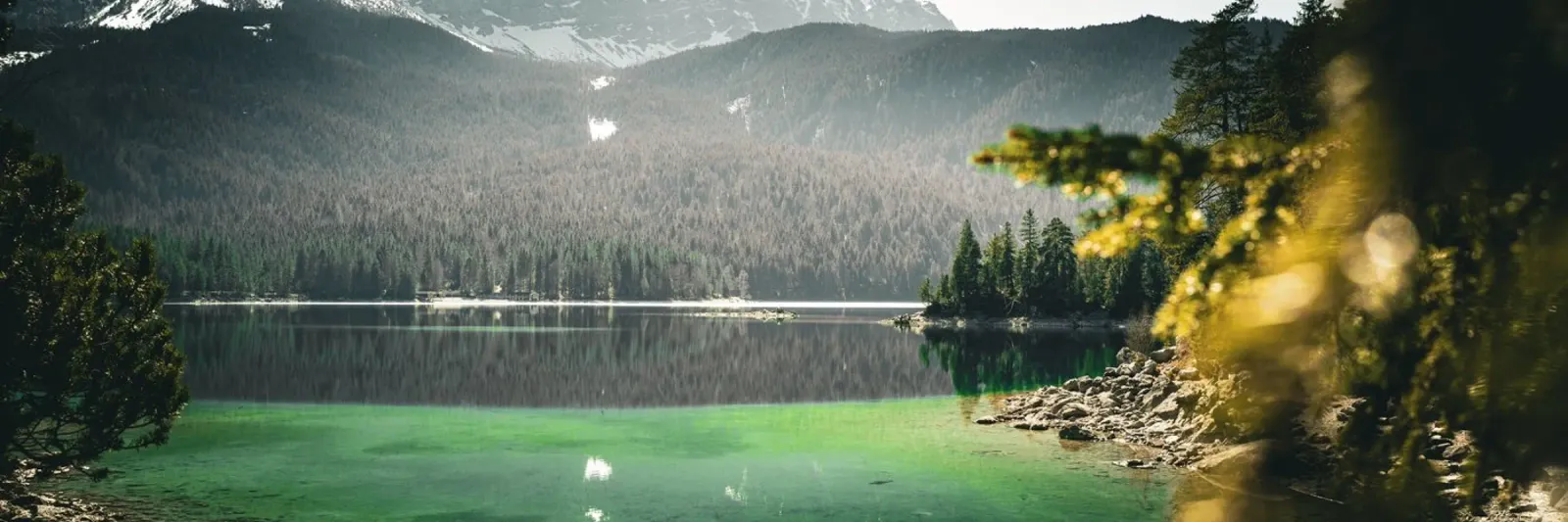 EIBSEE pellicola backlit da Flo Klein
