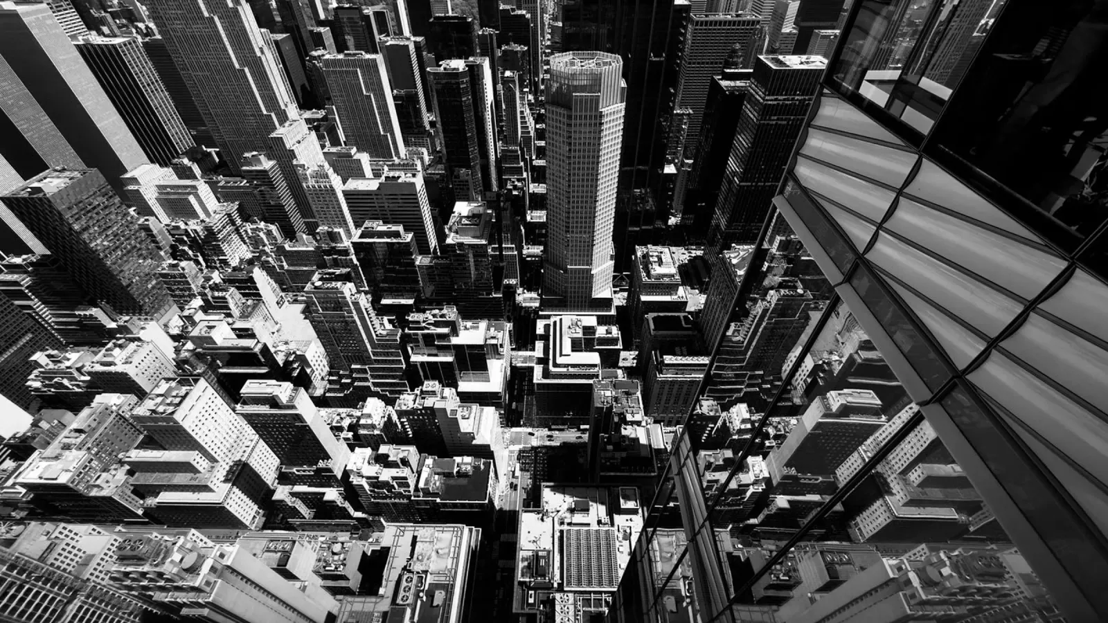 New York pellicola backlit da Flo Klein
