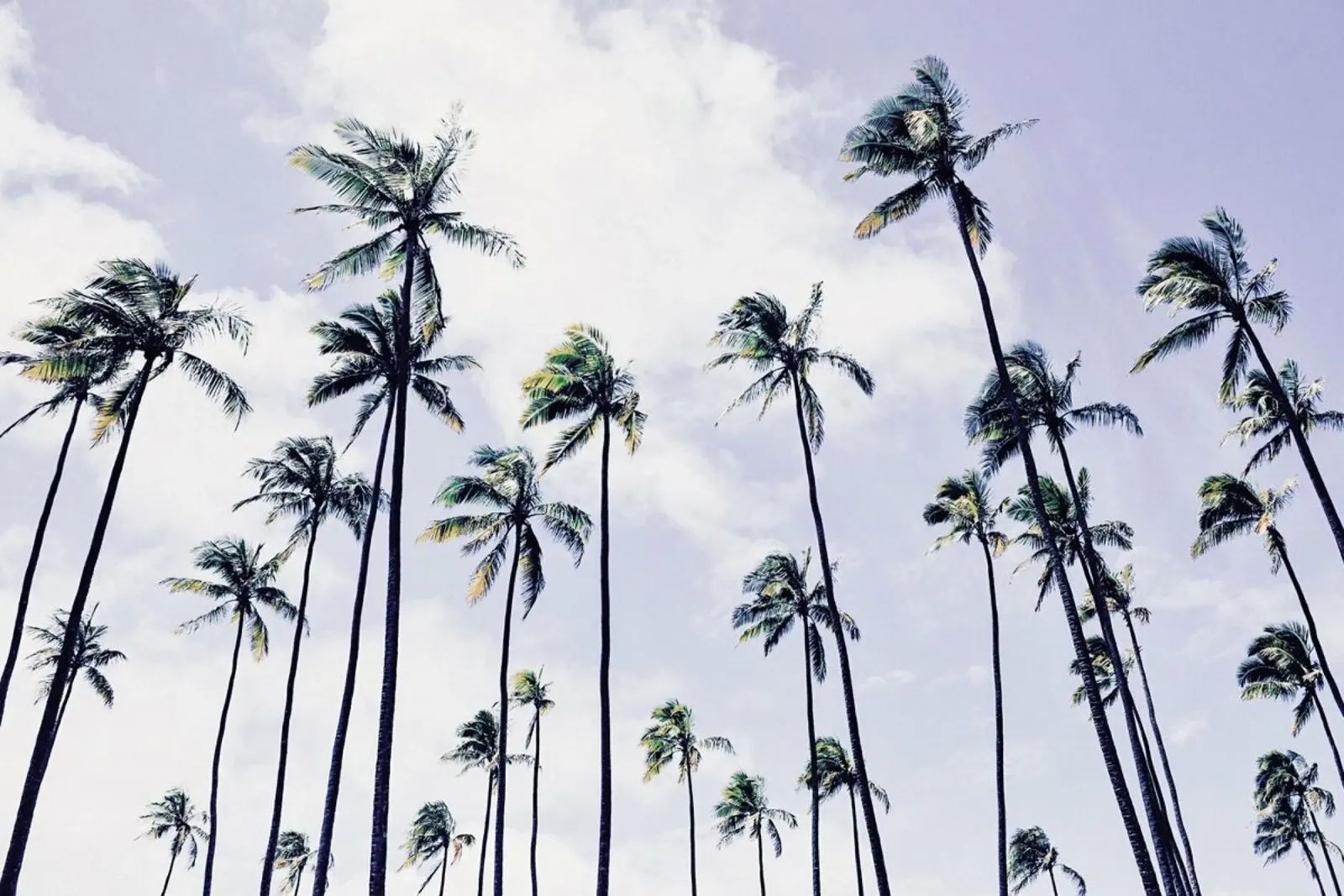 Paradisaic Sky by @WhitneyHolland poster con telaio in alluminio da EyeEm Mobile GmbH