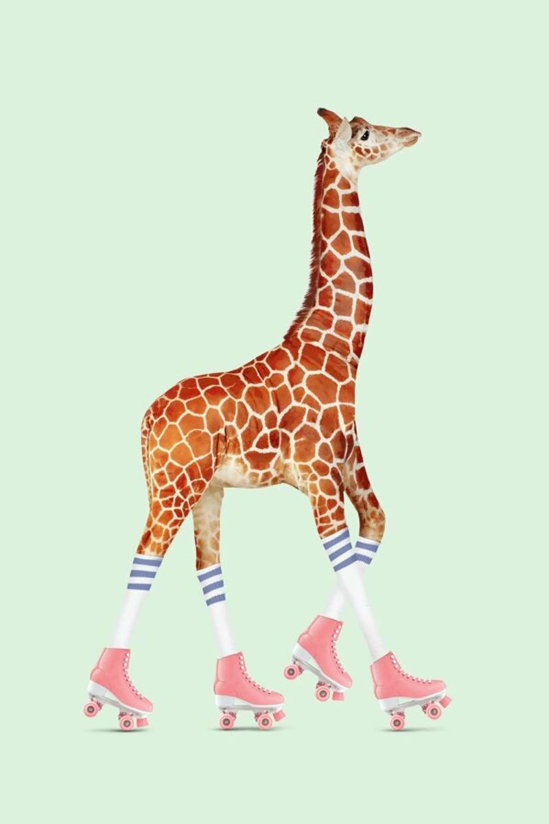 Rollerskating Giraffe plexiglass da Jonas Loose
