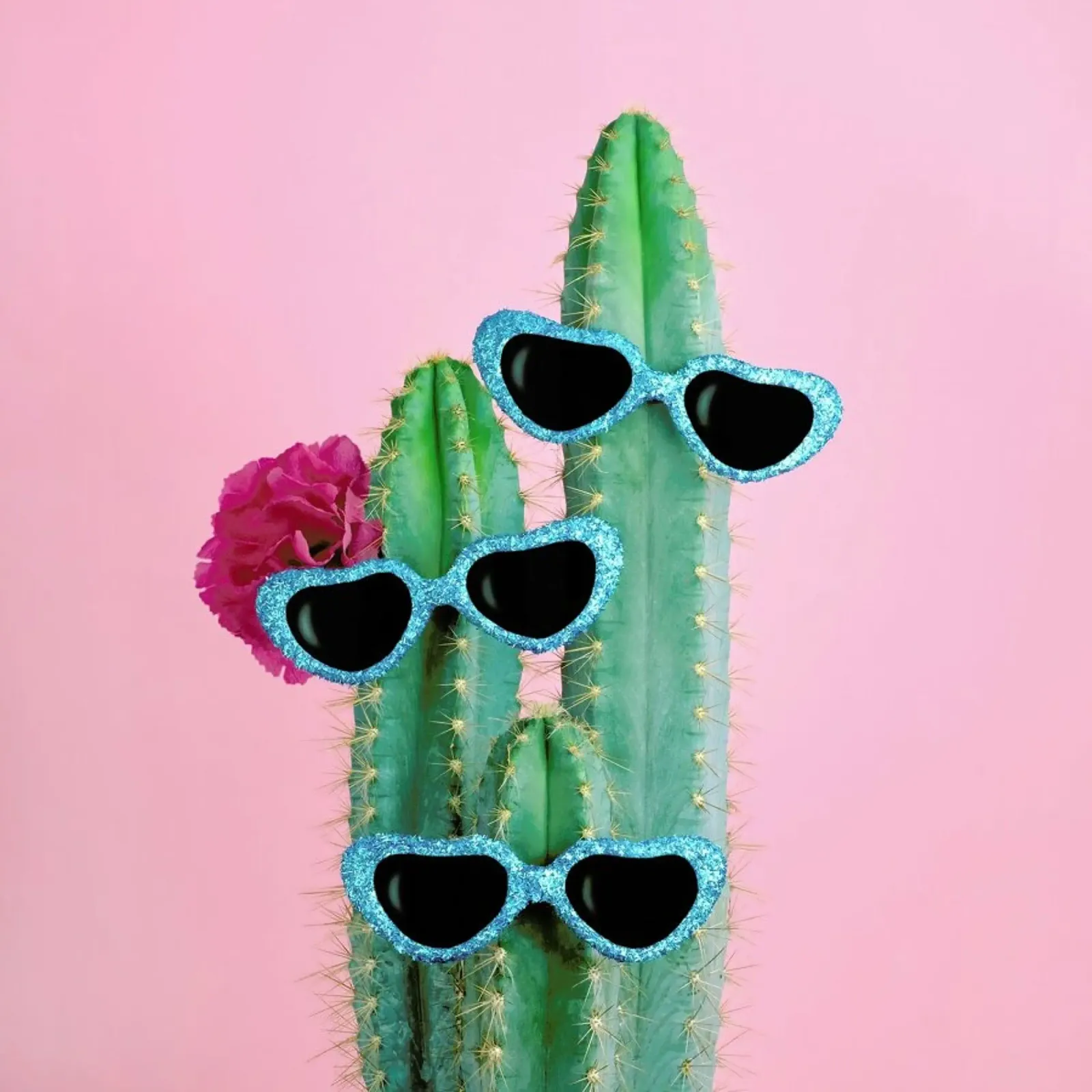 Cactus Sunglasses poster da Juj Winn