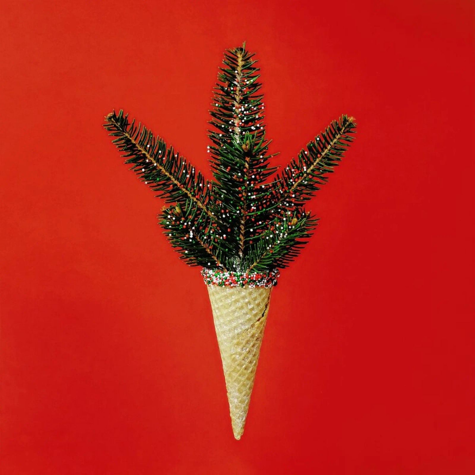 Pine Cone poster by Juj Winn