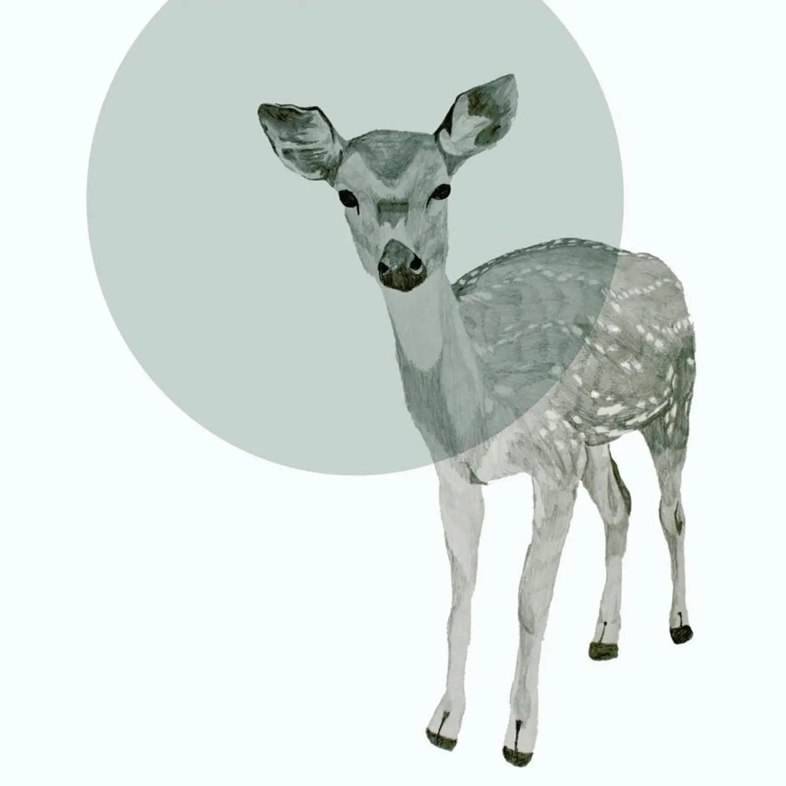 Deer pellicola backlit da Morgan Kendall