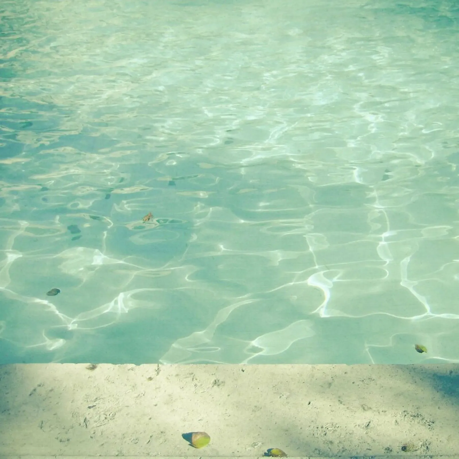 Nuoto mattutino pellicola backlit da Cassia Beck Photography