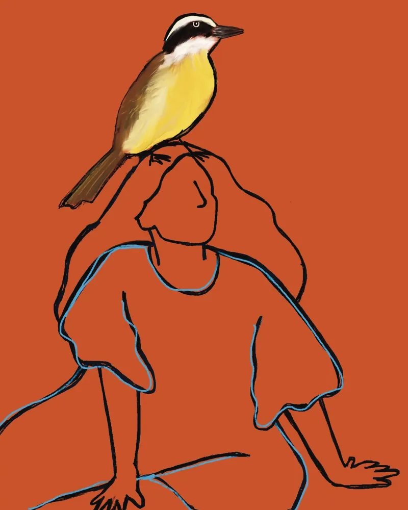 The woman and the bird (Bem te vi) poster con telaio in legno da tainah negreiros