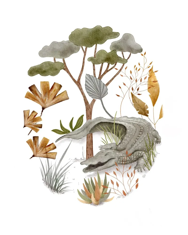 Sleepy Crocodile - Serene Jungle Illustration poster con telaio in plastica da Urchin Bay Art