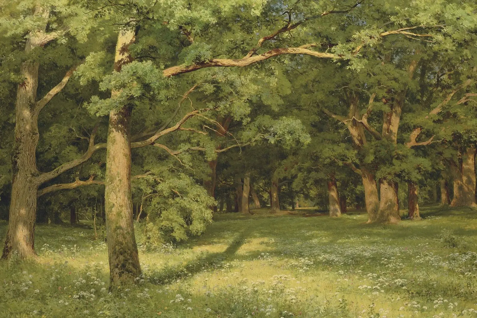 Ivan Shishkin - The Forest Clearing, 1896 canvas by William Store