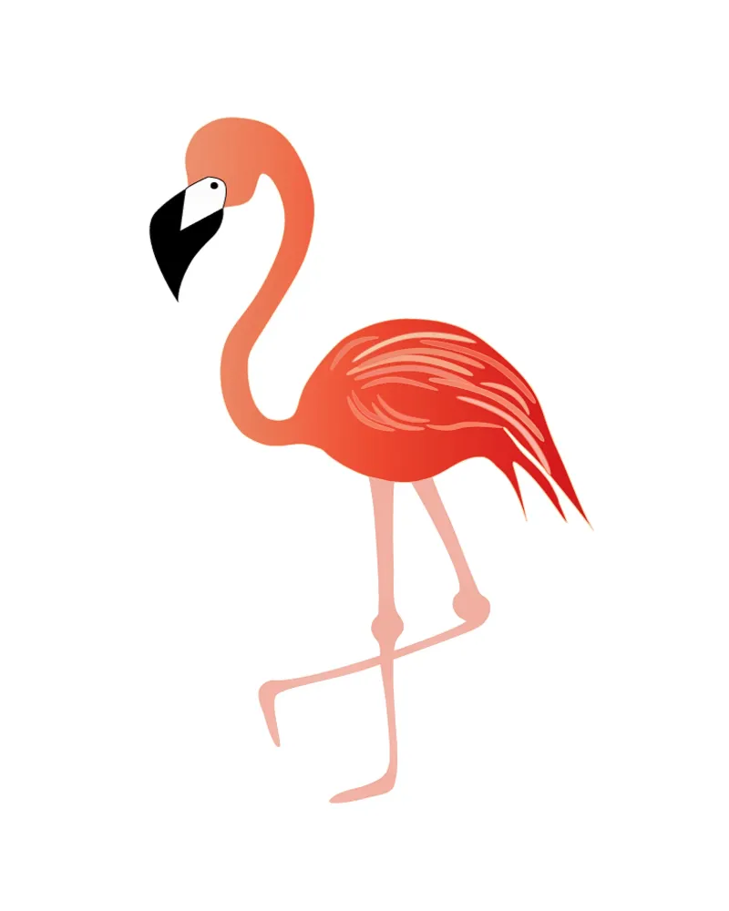 Flamingo pellicola backlit da SunflowerDE