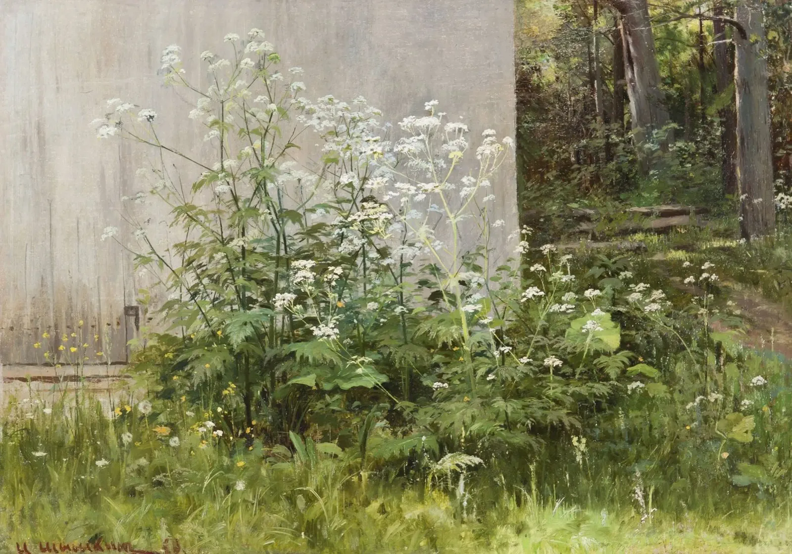 Ivan Shishkin - Fiori al recinto pellicola backlit da William Store