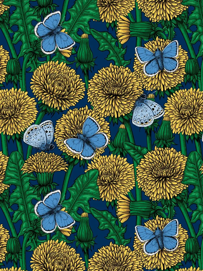 Dandelion medow alu-dibond by Painted Nature