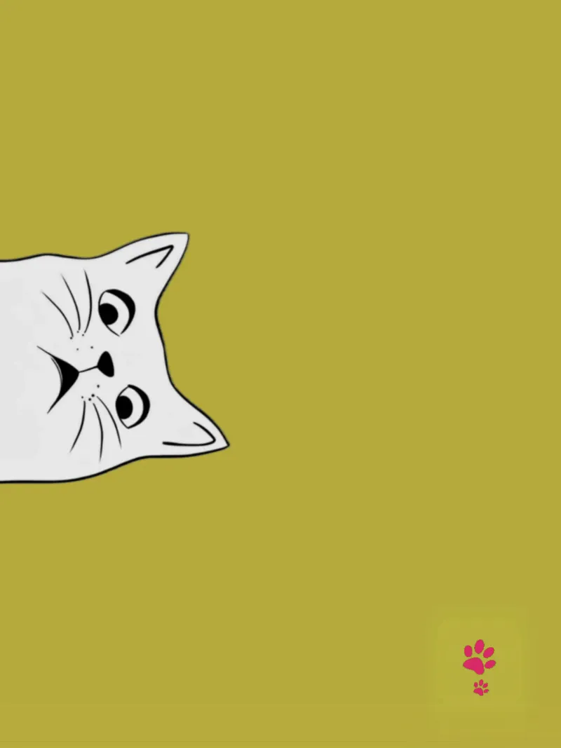 Gatto bianco Ii pellicola backlit da catsforyou