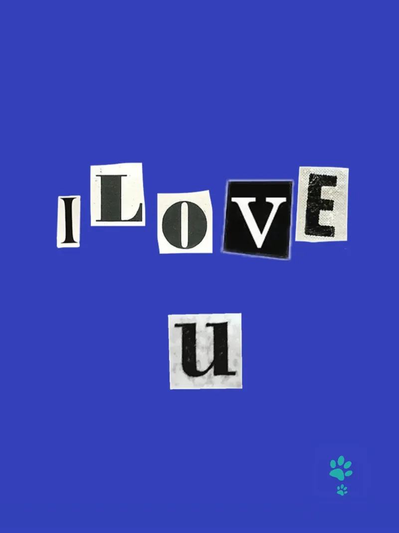 Ti amo pellicola backlit da catsforyou