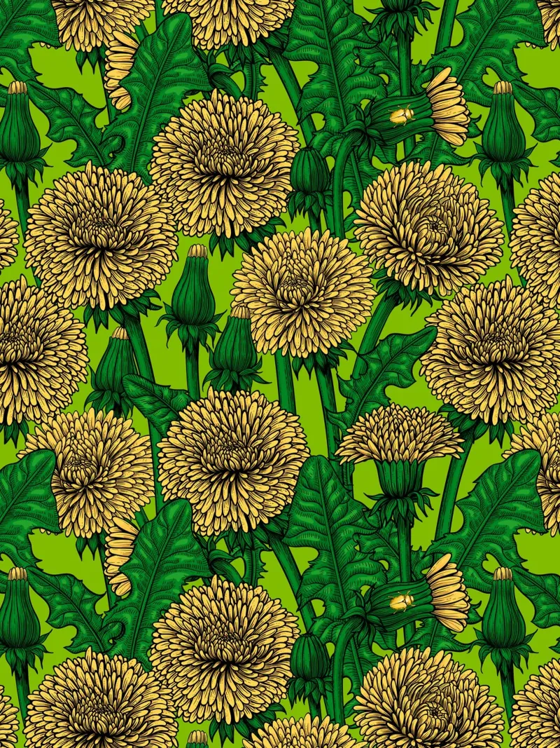 Denti di leone carta hahnemühle da Painted Nature