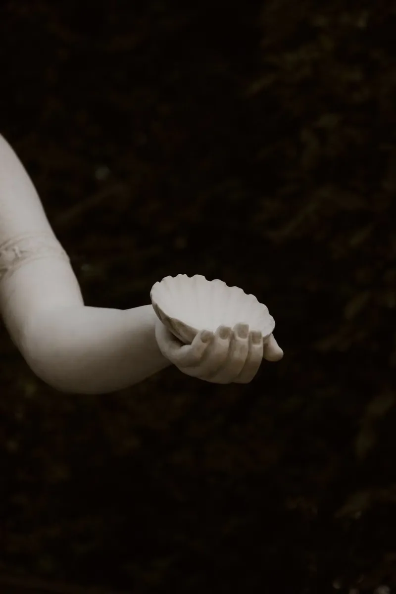 Venus poster con telaio in plastica da Saskia Kamenz
