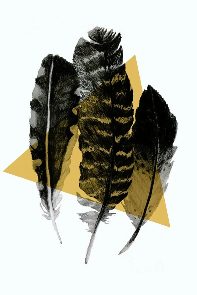Feathers pellicola backlit da Morgan Kendall