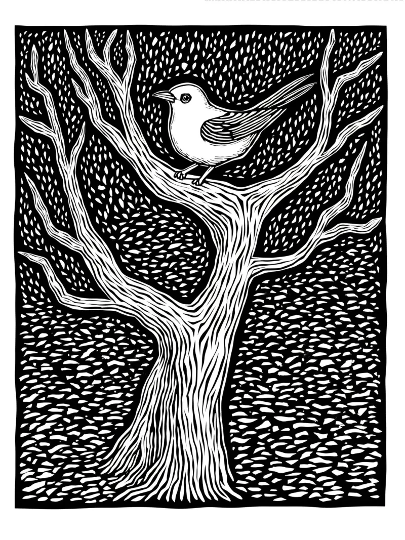 Song of the Bare Tree pellicola backlit da Indigo Rain