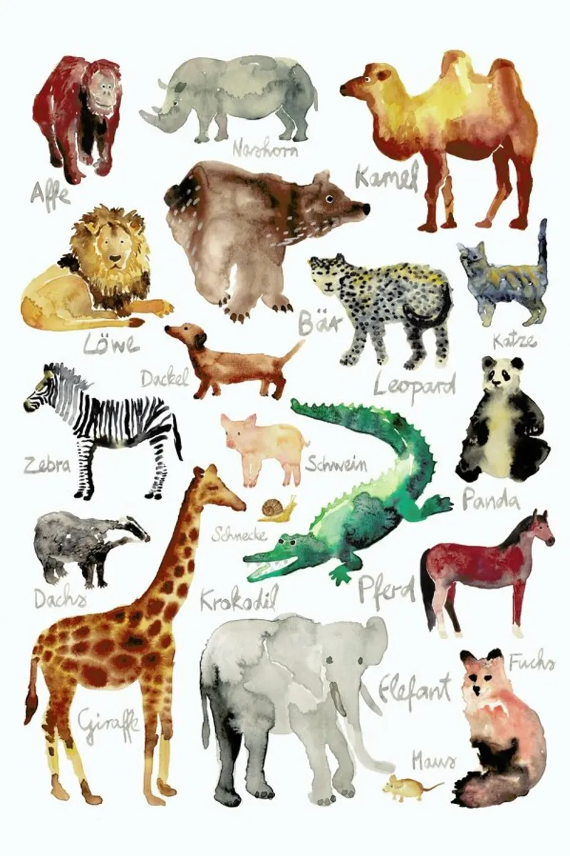 The Animal Kingdom poster con telaio in plastica da Farina Kuklinski